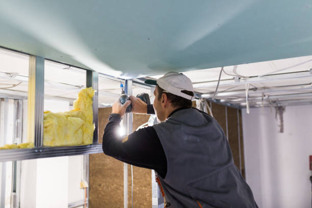 Best Blown-In Insulation  in Goshen, AR